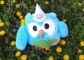 Meet our mascot, Ollie the Owl
